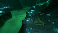 Skeletons found inside and outside the brine river