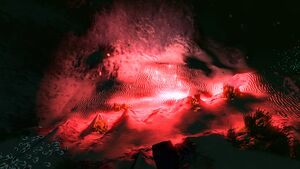 Flare (4).jpg