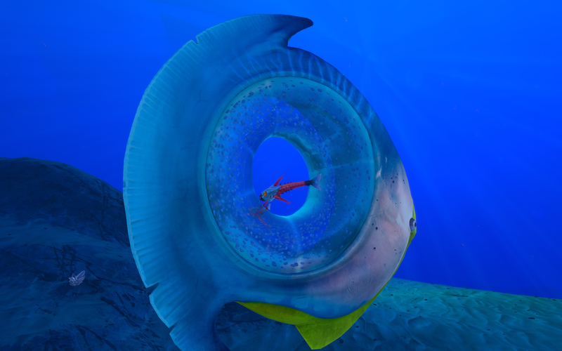 File:Holefish&symbiotes.png