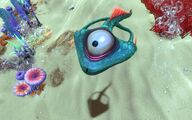 Life-form spadefish.jpg