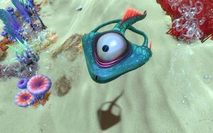 Life-form spadefish.jpg