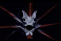 Thumbnail for version as of 16:24, 27 May 2020