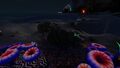 Safe Shallows at Night