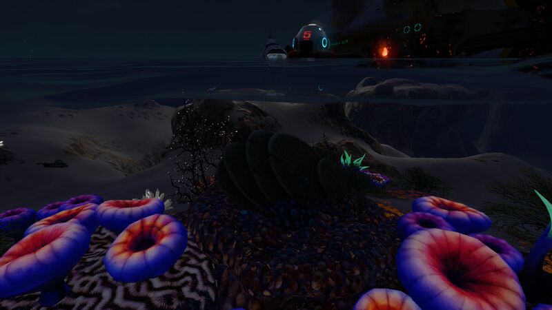 File:Safe Shallows (28).jpg